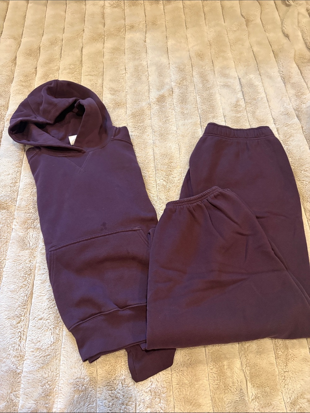 aerie Plum Purple Track Pants & Hoodie Jogger Set
